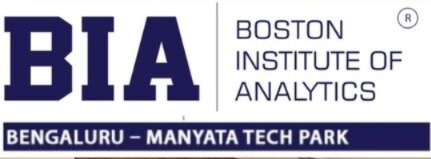 Boston Institute of Analytics logo